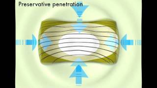 What is Pressure Treated Timber [upl. by Tedd]