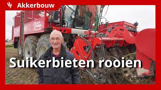 Suikerbieten rooien in de Noordoostpolder [upl. by Carey]