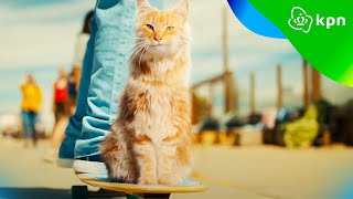 Blijf gaan met KPN Unlimited  het snelste 5G netwerk van Nederland [upl. by Omixam]