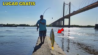 PESCÓN ABAJO DEL PUENTE DEL RÍO PARANA GUAZU Primera pesca del año [upl. by Rehpotsrik]