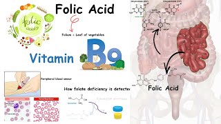 Folate  Vitamin B9 and folate deficiency [upl. by Rehpetsirhc]