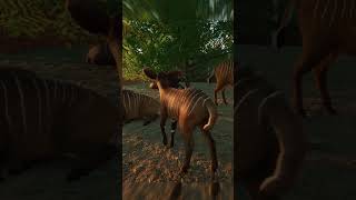 Baby bongos are the cutest planetzoo planetzoogameplay bongo [upl. by Ased]