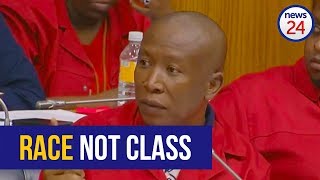 Land expropriation EFF says its race issue DA questions process [upl. by Euqimod]