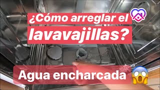 AGUA ENCHARCADA en el lavavajillas 🍽️🌊¿Cómo arreglarlo Solucionarás la avería en menos de 5 minutos [upl. by Lupiv]