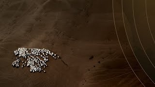 La Mongolie assoiffée par les changements climatiques [upl. by Htevi682]