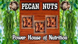 PECAN NUTS  Power house of Nutrition [upl. by Joliet563]