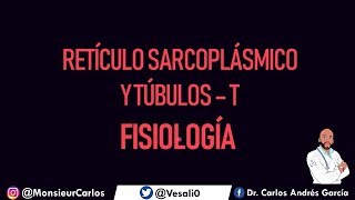 Fisiología  Acoplamiento Excitación Contracción Túbulos T Retículo Sarcolplásmico Calcio [upl. by Burnsed]