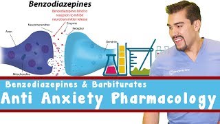 Anti Anxiety Pharmacology Benzodiazepines and Barbiturates [upl. by Amesari210]