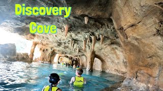 The Best Day At Discovery Cove [upl. by Tneicniv]