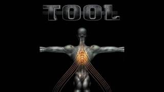 Tool  Pushit Salival  Live FULL SONG HD [upl. by Katha]