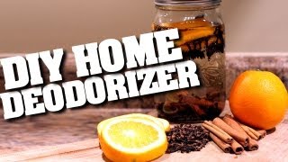 DIY Home Deodorizers How to Make a Home Deodorizer amp Keep Your Home Clean amp Fresh Clean My Space [upl. by Lowenstern461]