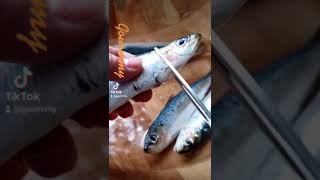 comment vider les sardines sardines astuce astuces [upl. by Hobard]