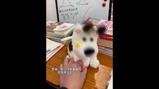 My deskmates bee puppy is really crazy Haha Bee dog Animals confusing behavior Plush toy [upl. by Adaha]