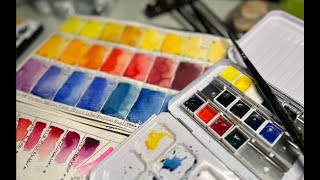 How to set up your Watercolor Palette  BEST Watercolor to Use [upl. by Nade]