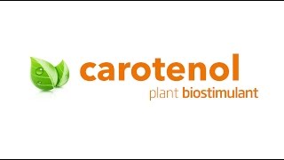 Carotenol  Plant Biostimulant  Lida de México [upl. by Ddal]