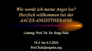 Serge Sulz AACES ANGSTTHERAPIE AngstbehandlungTeil 1 [upl. by Mulligan]