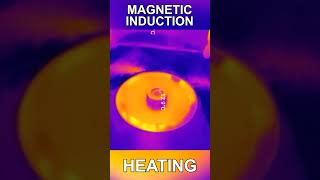 The Power of Magnetic Induction [upl. by Dyl]