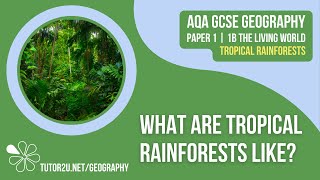 What are Tropical Rainforests Like  AQA GCSE Geography  Tropical Rainforests 1 [upl. by Otsedom]