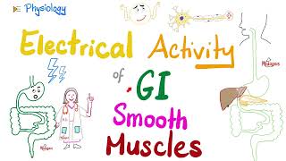 Slow Wave potential Basic Electrical Rhythm BER and Spike Action Potentials of gut  Physiology [upl. by Analla]