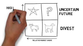 BCG matrix Hindi [upl. by Mercie]