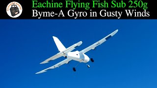 BymeA Gyro Stabilized in Gusty Winds  Eachine Flying Fish 650mm Wingspan Sub250g Twin Motor Plane [upl. by Llenrod]