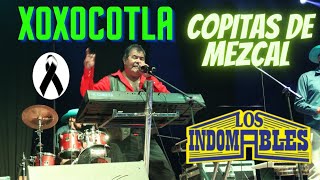 Copitas de mezcal  Últimos eventos del indomable indomables musica 2024 [upl. by Hubsher897]