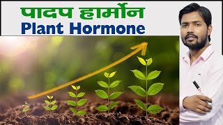 Plant Hormone  प्लांट हार्मोन  पादप हार्मोन क्या हैं  Types of Plant Hormones in Hindi [upl. by Presber]