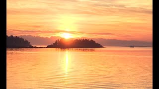 Departure Bay LIVE Weather and Views departurebaybeach nanaimo departurebayLIVE [upl. by Klusek]