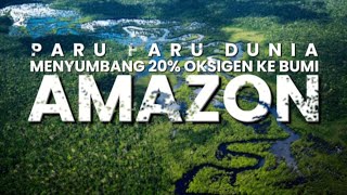 Hutan terbesar yang menjadi paru paru Dunia [upl. by Attebasile]