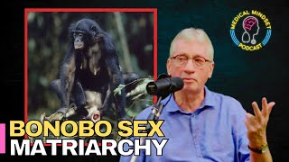 Bonobo Matriarchy Utilizes Sex for Social Regulation Dr Frans de Waal [upl. by Amando]