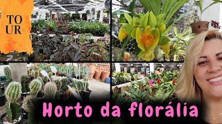 Horto da florália e orquidário  fiz um tour pra vocês [upl. by Liane]