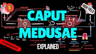 CAPUT MEDUSAE Pathogenesis of signs and symptoms in Medicine [upl. by Lianna]