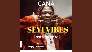 Seyi Vibes Cana Instrumental [upl. by Tnilk]