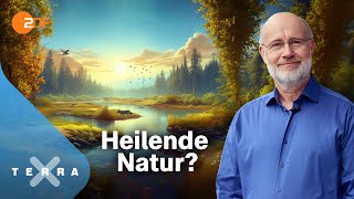 Harald Lesch  und die unterschätzte Klimachance  Terra X Harald Lesch Ganze TVFolge [upl. by Tyler]