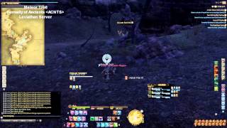 Me VS Fate Bot  FFXIVARR Leviathan Server [upl. by Ellenig]