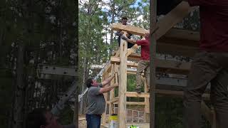 Timber Framing Kong Style [upl. by Neu]