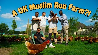 The Lads Visit a UK Muslim Run Holistic Farm [upl. by Saqaw270]