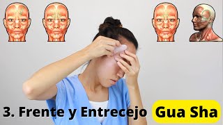 Masaje de la Frente y Entrecejo con Gua Sha Vídeo 6 CursoGuasha  Wabissabi [upl. by Nattie]