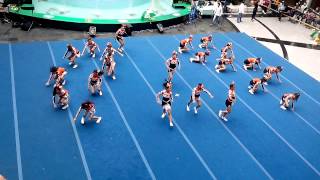 COLEGIO SAGRADOS CORAZONES DE MOSQUERA CAMPEONAS 2013 [upl. by Alexi]