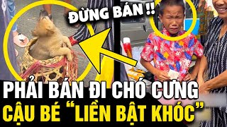 Buộc phải bán đi CHÚ CHÓ của gia đình cậu bé bật khóc KHÔNG NỠ XA gây đồng cảm  Tin Nhanh 3 Phút [upl. by Enirol]