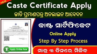 CAST INCOME ONLINE APPLICATION WITH ADHAR E SIGHN [upl. by Akinnor365]