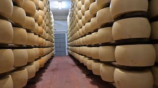 IL PARMIGIANO REGGIANO [upl. by Maggie]