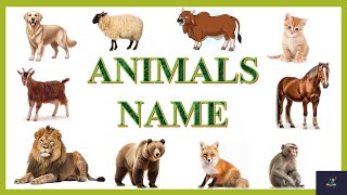 15 Animal Names Hindi and English  जानवरों के नाम  Learning Video By NK Little Learners [upl. by Lohner]