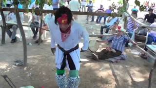 danza del pascola en guaymitas navojoasby pueblo viejo tradiciones mayos [upl. by Zoellick]