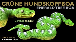 Safari Ltd ® Grüne Hundskopfboa  Grüner Hundskopfschlinger  Corallus caninus  Emerald Tree Boa [upl. by Neelyaj]