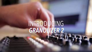 Introducing GRANULIZER 2  Inertia Sound Systems [upl. by Yk]