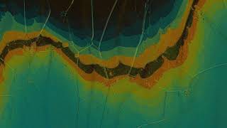 Gradients in cholesteric composite [upl. by Dusa]