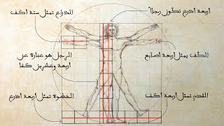 Why is the Vitruvian Man by Leonardo da Vinci so important [upl. by Zackariah]