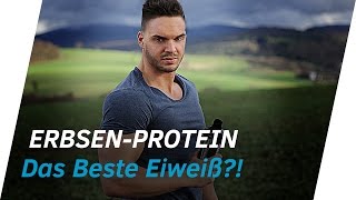 Animal Protein Vs Plant Protein [upl. by Richards]