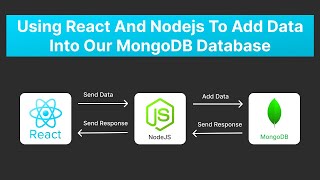 Add Data to MongoDB Using React and Nodejs  MERN Stack Tutorial [upl. by Raycher]